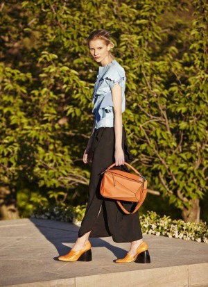 12227721_10153447496601107_5761288424081034424_n