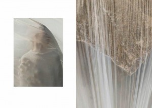 14572975_10154202716101107_614284834458551938_n