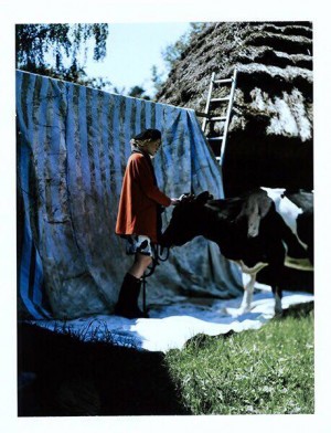 14962232_327388204290847_449936656_n