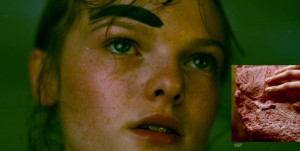 14963377_1297243097029354_4799415432185173268_n