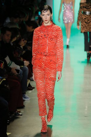 27867556_1779521092058153_3797235504781814822_n